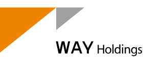 WAYホールディングス株式会社